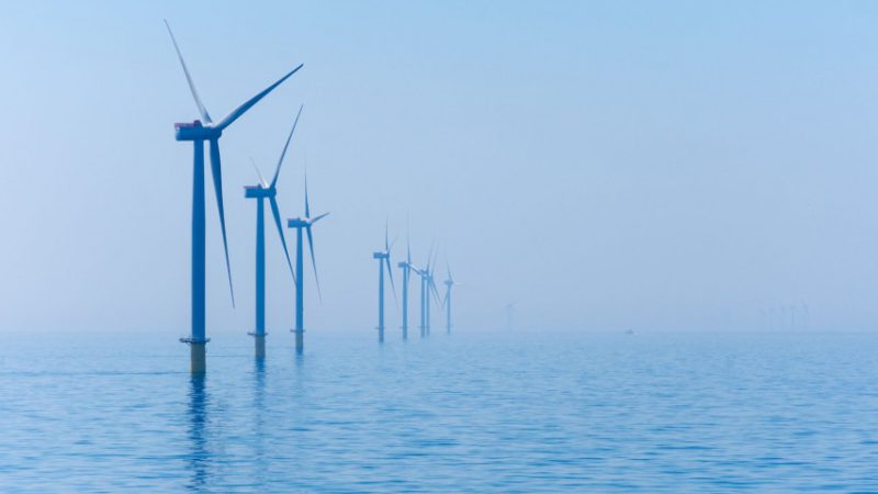 Parengta jūrinio vėjo elektrinių poveikio aplinkai vertinimo ataskaita