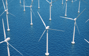 Read more about the article Lietuva kaimyninėms valstybėms pristatė jūrinio vėjo elektrinių parko poveikio aplinkai vertinimo ataskaitą