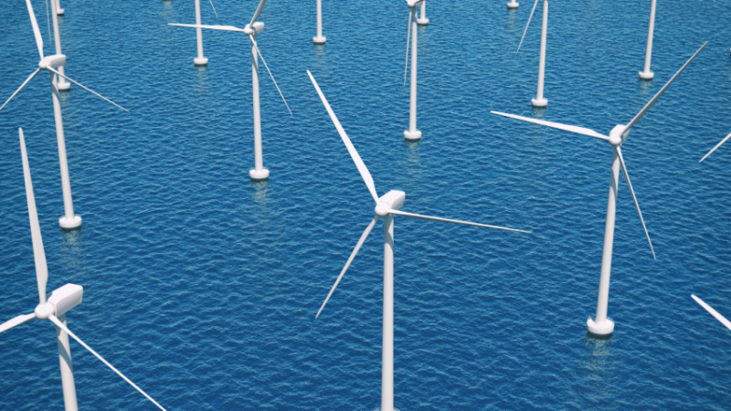 Lietuva kaimyninėms valstybėms pristatė jūrinio vėjo elektrinių parko poveikio aplinkai vertinimo ataskaitą